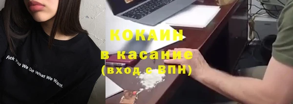 дживик Алексин