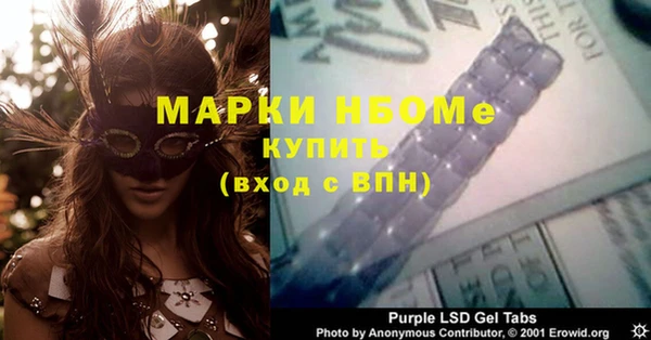 прущий лед Алзамай