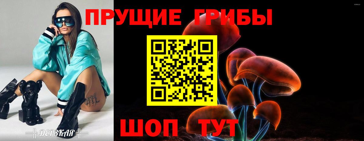 Галлюциногенные грибы Cubensis Тейково